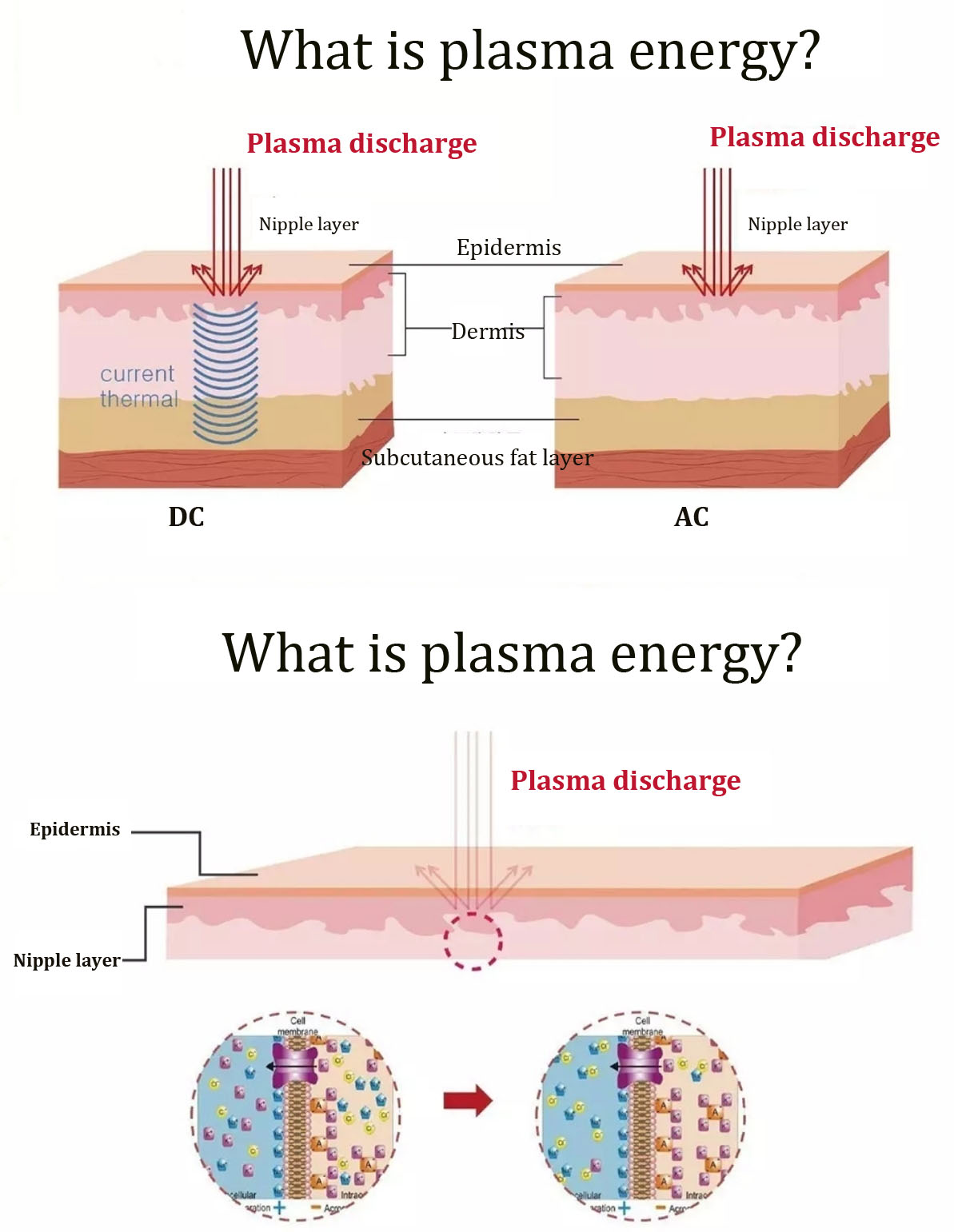 2 in 1 Plasma Beauty Machine