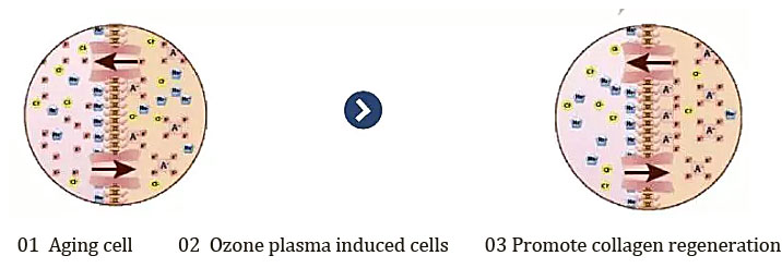 2 in 1 Plasma Beauty Machine