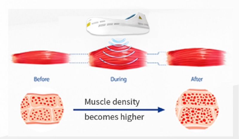 Hiemt Shape Lose Weight Build Muscle Machine