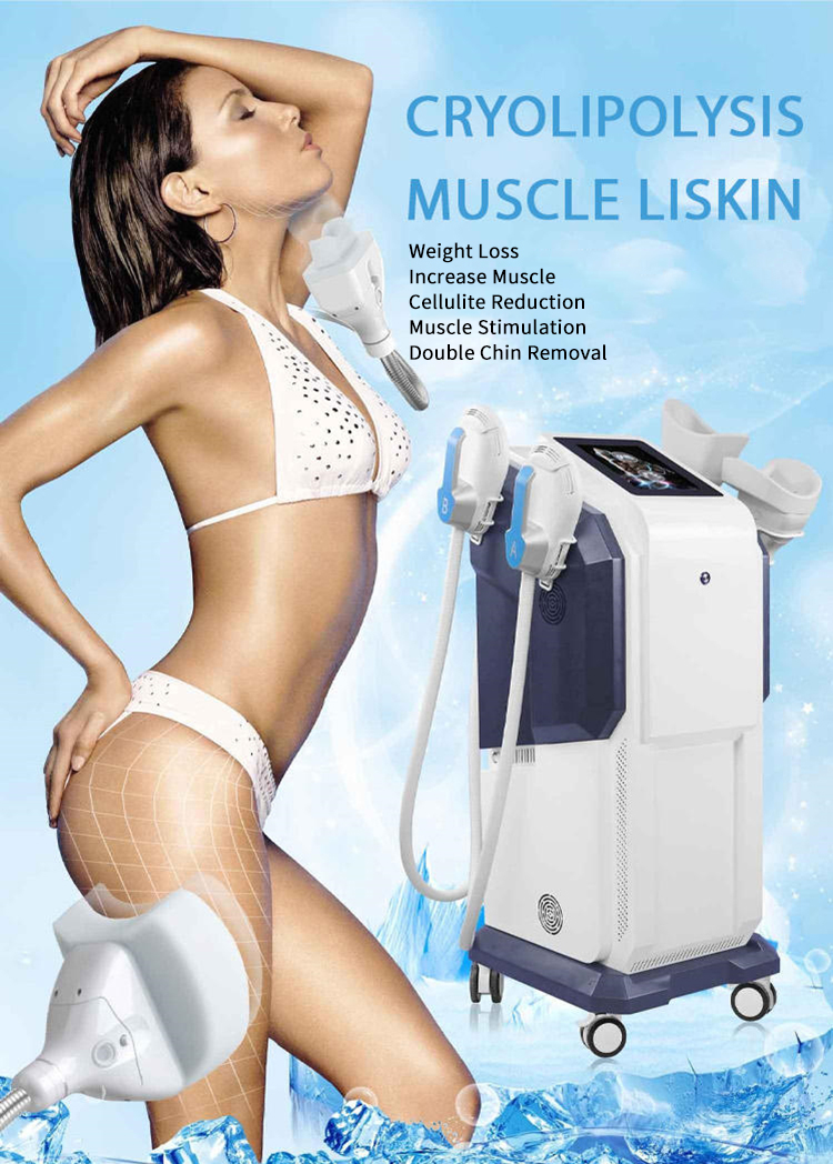 Cryo EMS 2 In 1 Body Shaping Fat Removal Machine