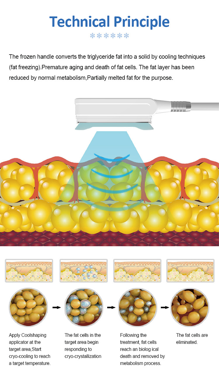 360° Coolplas Cryolipolysis Fat Freezing Machine