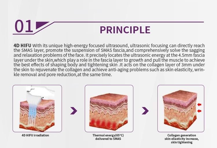 HIFU 4 In 1 Multifunctional Machine