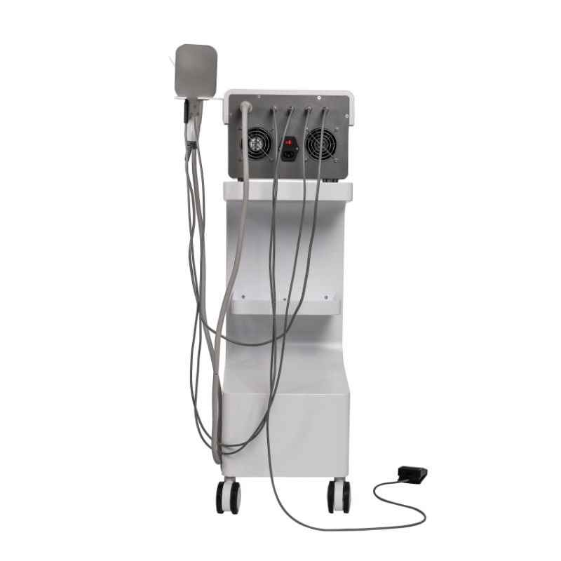 Microneedle 3 In 1 RF Acne Removal Machine